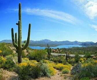 Filed Under Desert Exploration Things To Do By Joanne Zeterberg