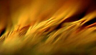 Pentecost Wallpaper