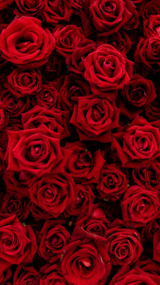Red Aesthetic Wallpaper HD