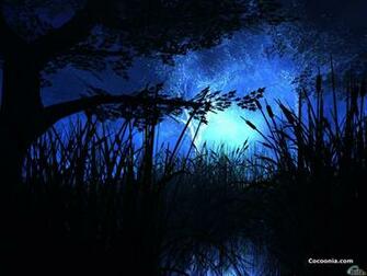 Wallpaper Forest Black Dark