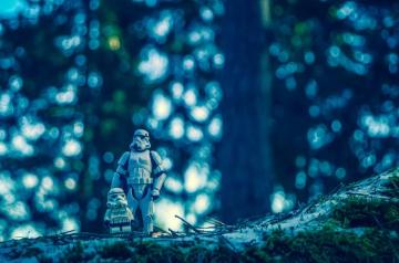 Image Forest Light Night Underwater Darkness Blue