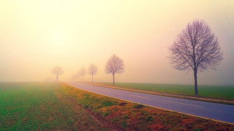Road Nature Fog 4k Ultra HD Wallpaper