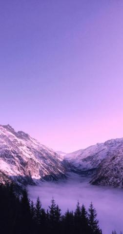 Purple Wallpaper HD Hq