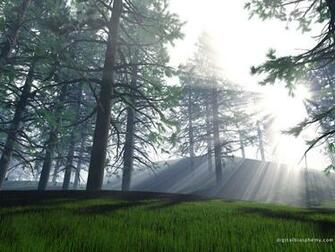 Morninglight Jpg