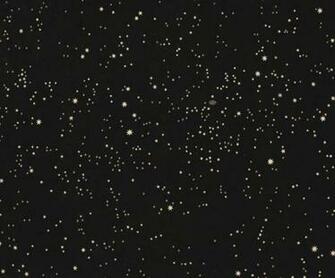 Constellations With White Stars On Black Background Opposite Plate