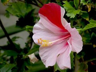 Beautiful Pictures