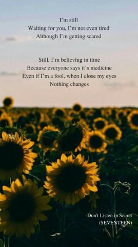 Don T Listen In Secret Seventeen Lyrics Wallpaper