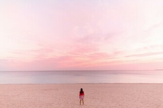 Plain Soft Pink Background An Interesting