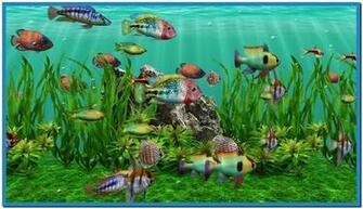 3d Aquarium Screensaver HD