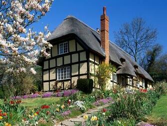Country House With Bloomed Magnolia HD Wallpaper The