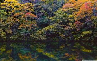 Trippy Forest Wallpaper