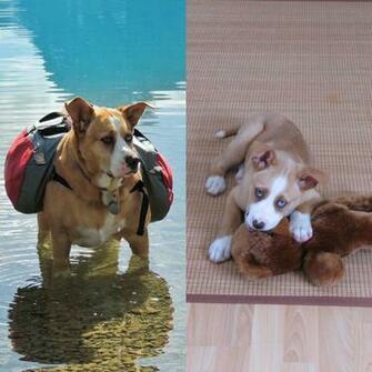 Seems Like Everyone Liked My Last Post His Name Is Kojak He