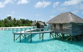 Sea Tropical Paradise Wallpaper High Quality