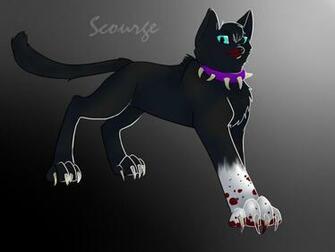 Warriorcats Wallpaper Scourge By Hoffnungsstern On