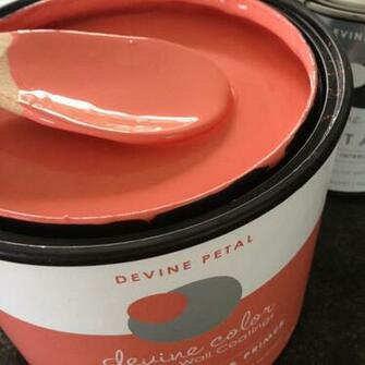Devine Color At Target Gretchen Schauffler