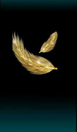 Black And Gold Wallpaper Pretty Feather