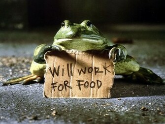 Frogs Wallpaper Cute Little