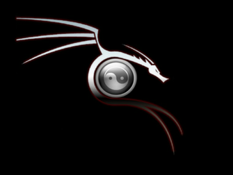 Dragons Desenhos De Drag Es Digital Art Dragon Ying Yang