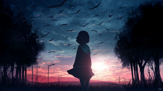 Wallpaper Silhouette Sunset Birds Twilight