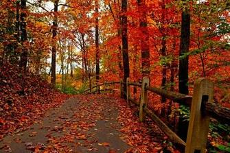 Brianna Cole Pictures Background Max Road In Autumn Forest