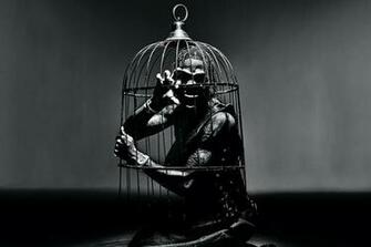 Nick Knight Inter Travis Scott Birds Album Cover Hypebeast