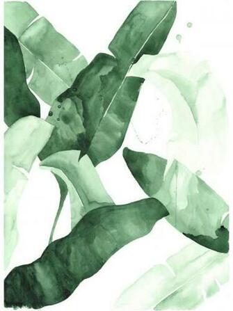Beverly Banana Leaf Tropical Watercolor Print Green Leaves The Aestate