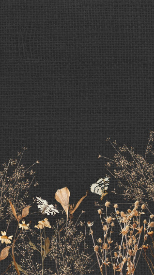 Black Phone Aesthetic Wallpaper