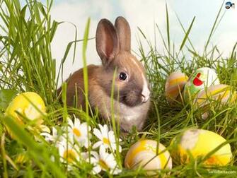 Easter Wallpaper