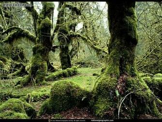 National Geographic More Pictures Of
