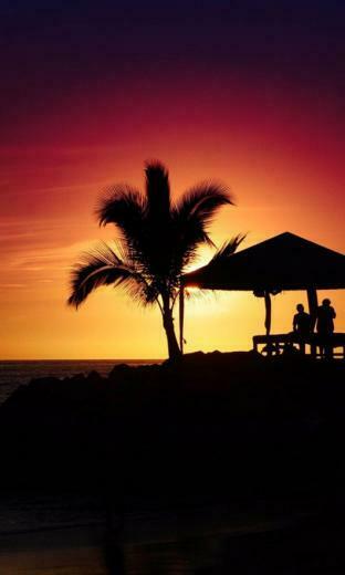 Awe Inspiring Windows Phone Summer Wallpaper