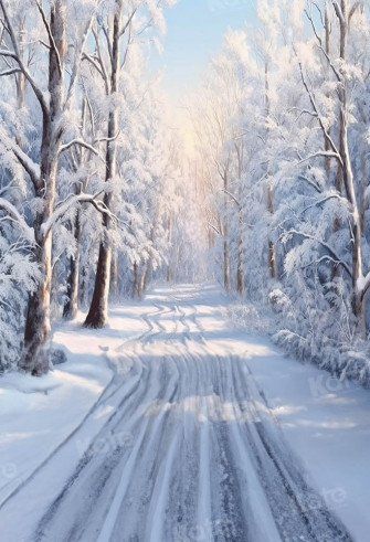 Kate Winter Outside Snow Frosted World Path Backdrop For Photography