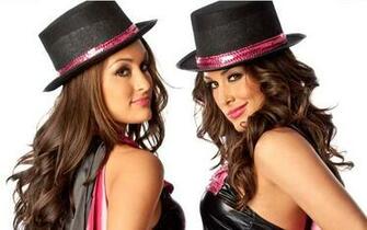 The Bella Twins Nikki Brie Ass Wwe Total Divas