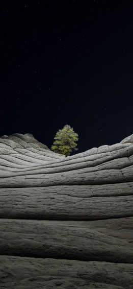 Desert Three Night Wallpaper