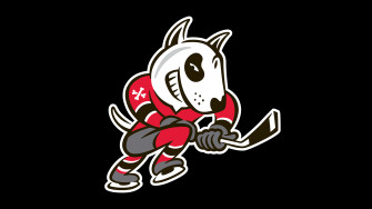 Icedogs Release Statement Following Appeal Process Niagara