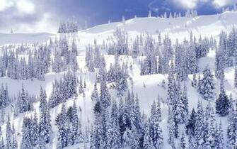 High Definition Wallpaper Winter Desktop Themes Scene