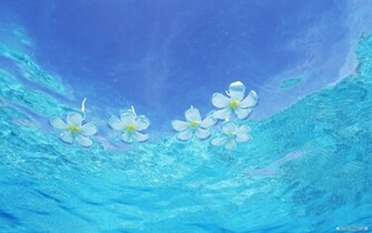 Wallpaper Nature Clear Sky Blue Water