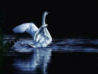Moon River