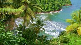 Exotic Island Wallpaper