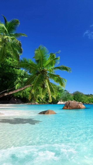 Island iPhone Wallpaper