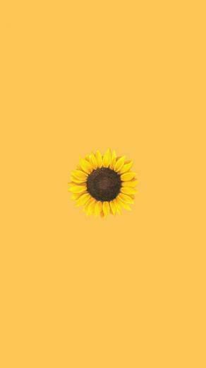 Girasol Shared By Different Minds On We Heart It