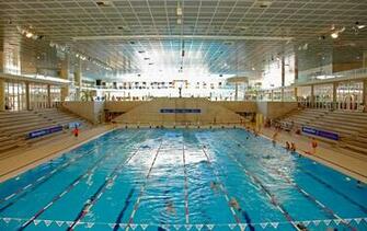 Olympic Gold Swimming Funny