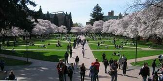 Top Wash U Admissions Essays Study Notes