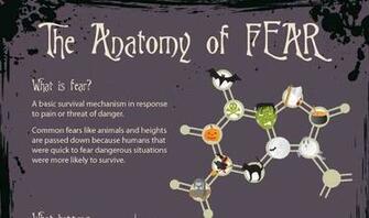 Anatomy Of Fear Jpeg