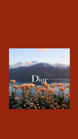 Poppies Dior Wallpaper Vintage Phone