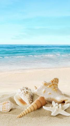 Beach Mobile Wallpaper HD Live
