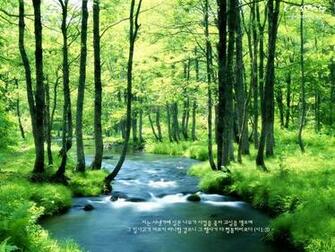 Color Using Natural Wallpaper High Resolution Photos