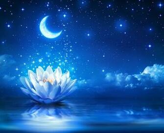Photo Space Moon Flower Nelumbo Crescent