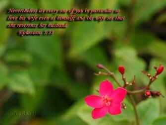 Gospel Photography Scripture Wallpaper
