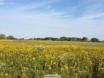Illinois Prairie Wallpaper At Wallpaperbro