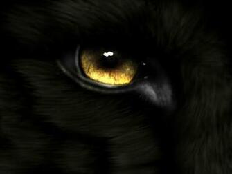 Black Wolf Wallpaper